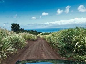 Hawaiian road trip