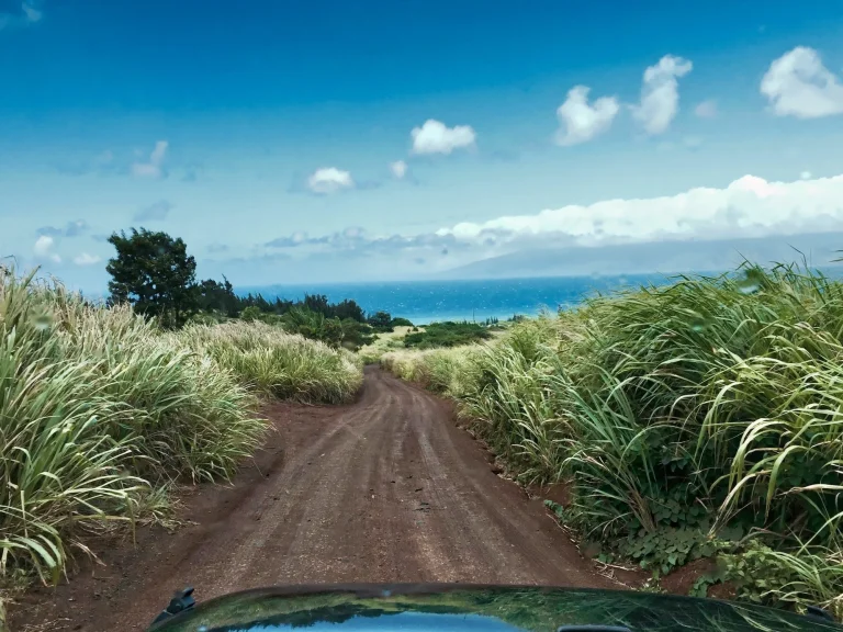 Open road on a scenic drive